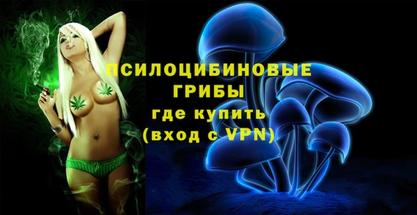 ALPHA PVP Вяземский
