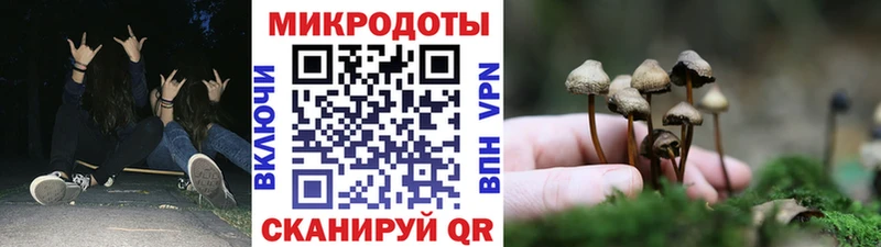 Галлюциногенные грибы мицелий  как найти   Уссурийск 