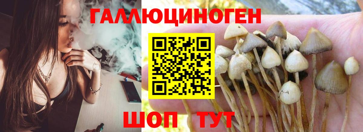 Псилоцибиновые грибы MAGIC MUSHROOMS  Вход с VPN  Псилоцибиновые грибы ЛСД  Уссурийск 